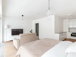 Pronájem bytu 1+kk, Brno, Lidická, 41 m2