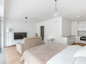 Pronájem bytu 1+kk, Brno, Lidická, 41 m2