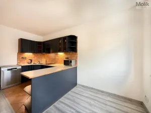 Prodej bytu 3+1, Osek, Slovenská, 75 m2