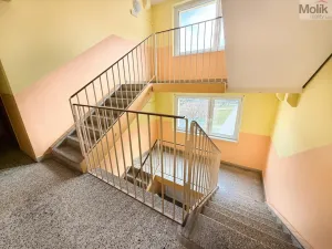 Prodej bytu 3+1, Osek, Slovenská, 75 m2