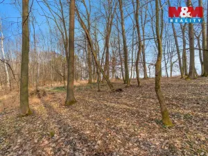 Prodej lesa, Slatiny, 6169 m2