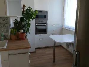 Pronájem bytu 3+1, Třebíč, Družstevní, 74 m2