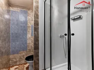 Prodej bytu 2+kk, Děčín - Děčín XXXII-Boletice nad Labem, V Sídlišti, 43 m2