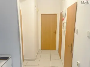 Prodej bytu 2+1, Louny, Tyršovo nám., 51 m2