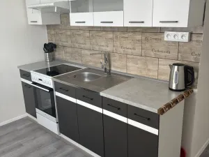 Pronájem bytu 3+1, Habartov, Čs. armády, 56 m2