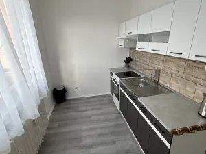 Pronájem bytu 3+1, Habartov, Čs. armády, 56 m2