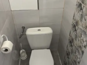 Pronájem bytu 3+1, Habartov, Čs. armády, 56 m2