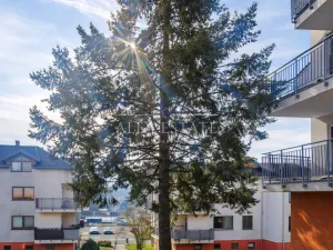 Prodej bytu 4+kk, Chodov, Bezručova, 120 m2