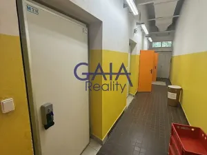 Prodej obchodního prostoru, Dačice, B. Němcové, 600 m2