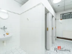 Prodej restaurace, Krásný Dvůr - Vysoké Třebušice, 600 m2