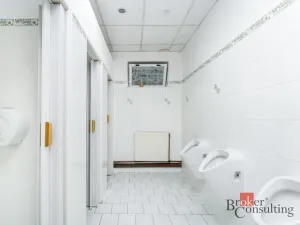 Prodej restaurace, Krásný Dvůr - Vysoké Třebušice, 600 m2