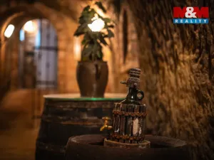 Prodej vinného sklepa, Chvalovice, 62 m2