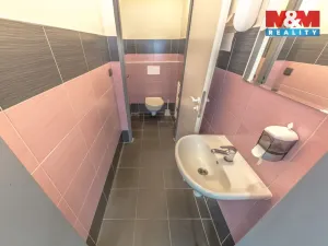 Pronájem kanceláře, Mělník, Nemocniční, 192 m2