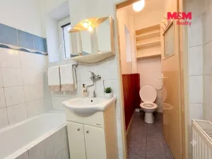 Prodej bytu 1+kk, Krnov - Pod Bezručovým vrchem, Březinova, 40 m2