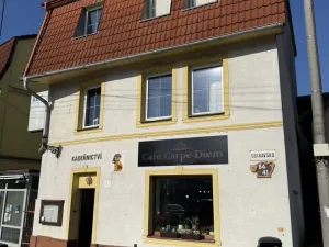 Pronájem komerční nemovitosti, Hlučín, Ostravská, 50 m2