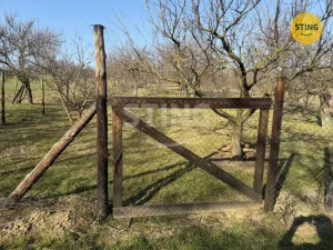 Prodej sadu/vinice, Miroslavské Knínice, 4555 m2