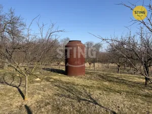 Prodej sadu/vinice, Miroslavské Knínice, 4555 m2