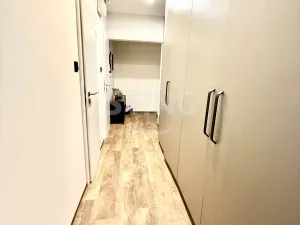 Pronájem bytu 2+1, Olomouc, Wolkerova, 54 m2