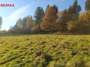Prodej louky, Kynšperk nad Ohří, 20332 m2