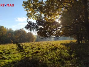 Prodej louky, Kynšperk nad Ohří, 20332 m2