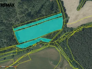 Prodej louky, Kynšperk nad Ohří, 20332 m2