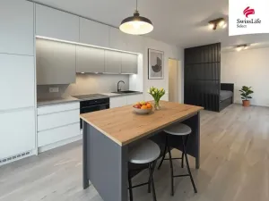 Pronájem bytu 1+kk, Plzeň, Františka Kováříka, 38 m2