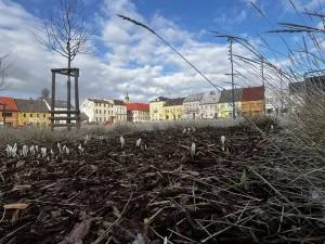 Prodej bytu 3+1, Nové Město pod Smrkem, Vaňkova, 69 m2