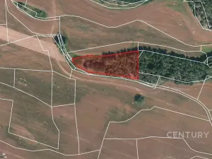 Prodej pole, Střelské Hoštice, 32521 m2