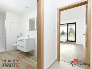 Prodej bytu 2+kk, Plzeň - Jižní Předměstí, Železná, 55 m2