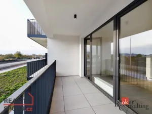 Prodej bytu 2+kk, Plzeň - Jižní Předměstí, Železná, 55 m2