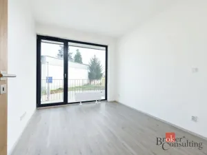 Prodej bytu 2+kk, Plzeň - Jižní Předměstí, Železná, 55 m2