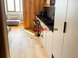 Pronájem bytu 1+kk, Špindlerův Mlýn, 24 m2