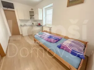 Prodej ubytování, Zlaté Hory, 330 m2