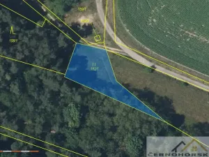 Prodej pole, Bakov nad Jizerou - Chudoplesy, 719 m2