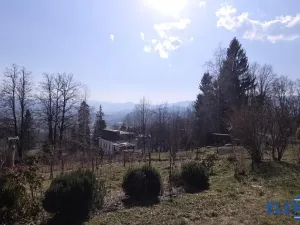 Prodej zahrady, Jeseník, Růžová, 492 m2