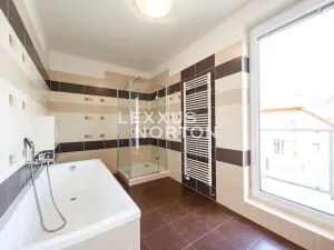 Pronájem rodinného domu, Průhonice, Pod Valem II., 325 m2