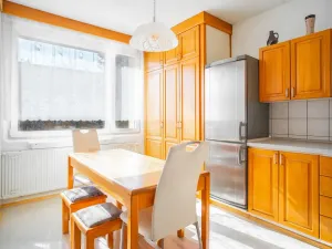 Prodej bytu 1+1, Plzeň - Bolevec, Tachovská, 39 m2