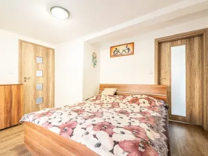 Prodej rodinného domu, Plavy, 336 m2