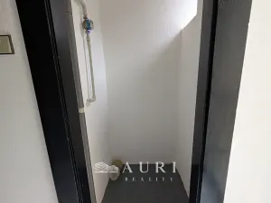 Prodej bytu 2+1, Praha - Žižkov, Jičínská, 66 m2