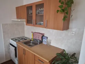 Pronájem bytu 1+1, Krupka, Teplická, 36 m2