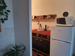 Pronájem bytu 1+1, Krupka, Teplická, 36 m2