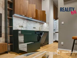 Pronájem bytu 1+kk, Brno, 42 m2