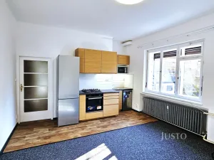 Pronájem bytu 1+kk, Praha - Dejvice, České družiny, 43 m2