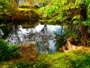 Prodej zahrady, Znojmo, 1330 m2