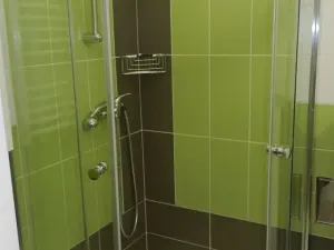 Pronájem bytu 2+kk, Praha - Žižkov, Fibichova, 60 m2