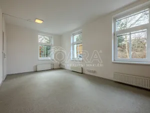 Pronájem obchodního prostoru, Vestec, Vestecká, 252 m2