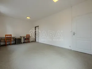 Pronájem obchodního prostoru, Vestec, Vestecká, 252 m2