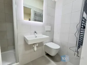 Pronájem bytu 2+kk, Praha - Žižkov, Květinková, 47 m2