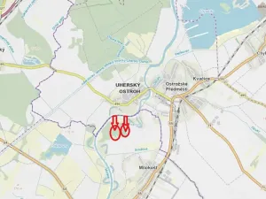 Prodej lesa, Veselí nad Moravou, 2272 m2