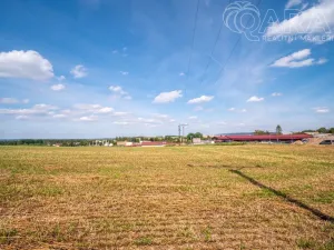 Prodej komerčního pozemku, Dolní Kralovice, 10347 m2